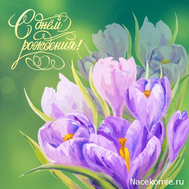 Наши Дни Рождения