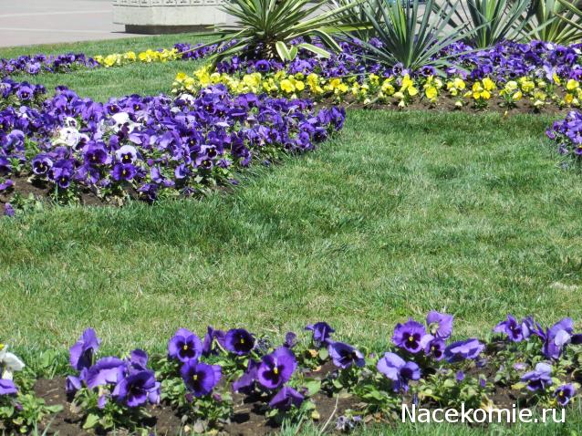 Мой любимый город или дорогие сердцу места