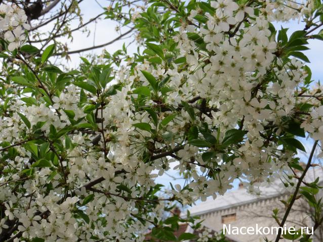 Мой любимый город или дорогие сердцу места