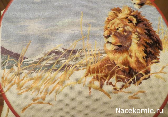 100 крестиков!