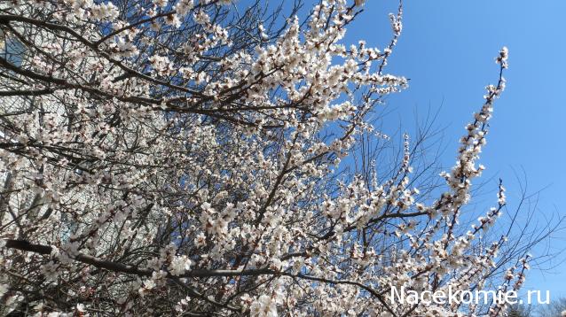 Мой любимый город или дорогие сердцу места