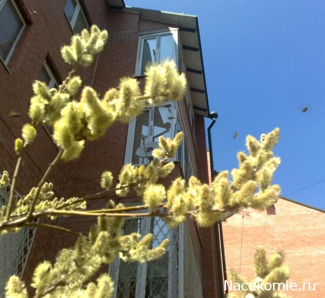 Куклы в народных костюмах – "Девчушки-болтушки"