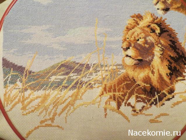 100 крестиков!