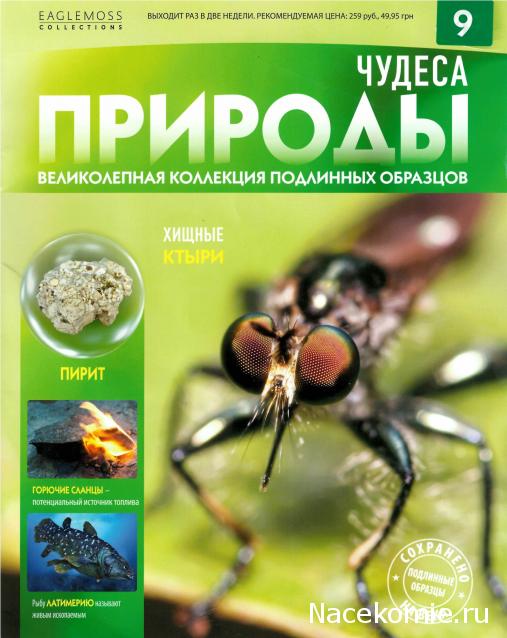 Чудеса Природы - График Выхода и обсуждение