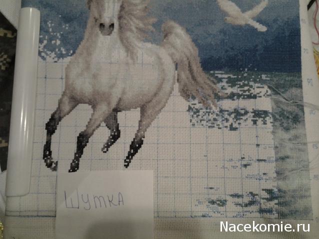 100 крестиков!