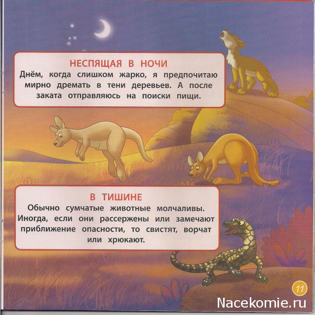 Животные Дикой Природы №12 - Самка Кенгуру Кики и Детеныш Лемура