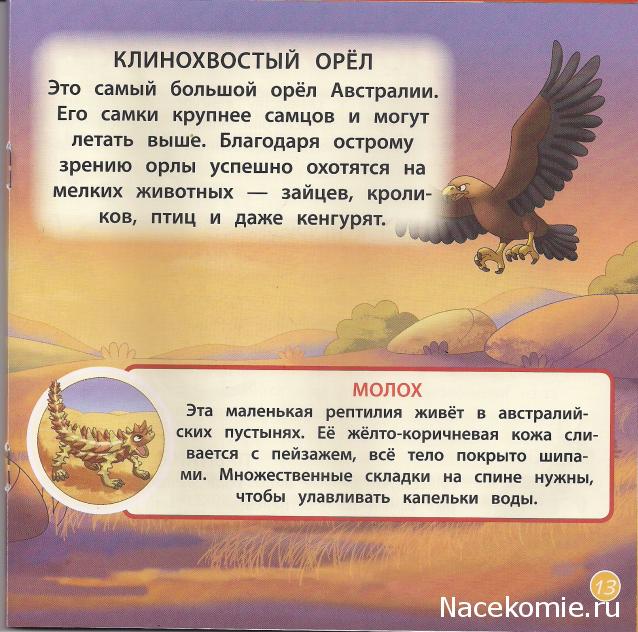 Животные Дикой Природы №12 - Самка Кенгуру Кики и Детеныш Лемура