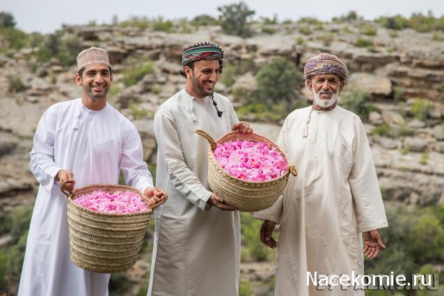 Strela. Банкноты и монеты - путешествие по свету!