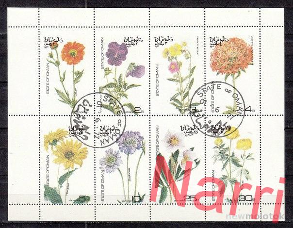 Strela. Банкноты и монеты - путешествие по свету!