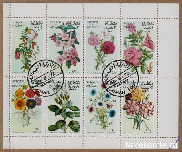 Strela. Банкноты и монеты - путешествие по свету!