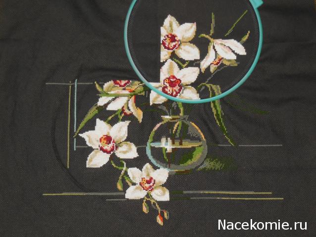 100 крестиков!