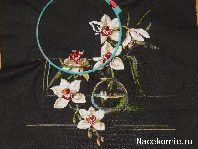 100 крестиков!