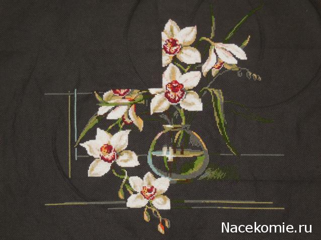 100 крестиков!