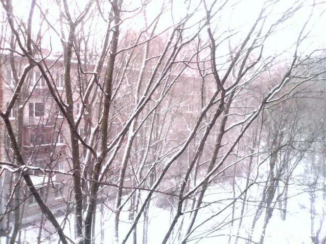 Тракторная болталка