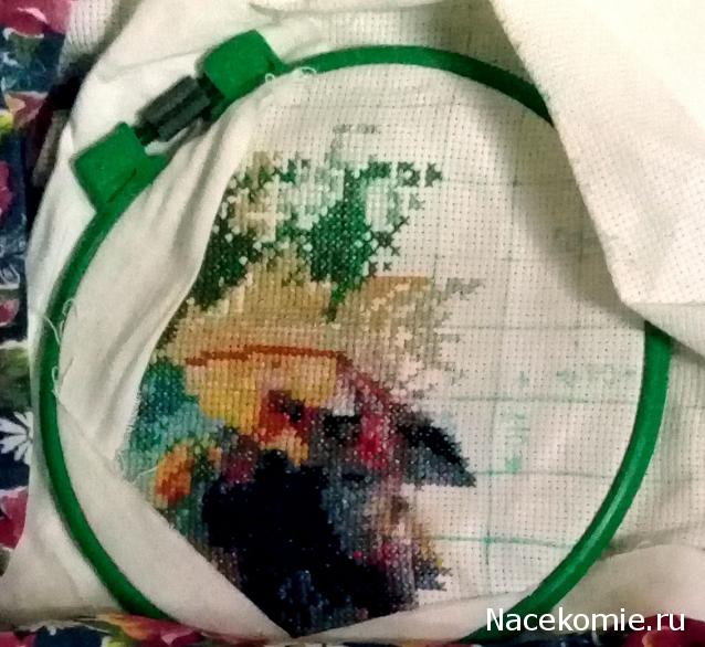 100 крестиков!