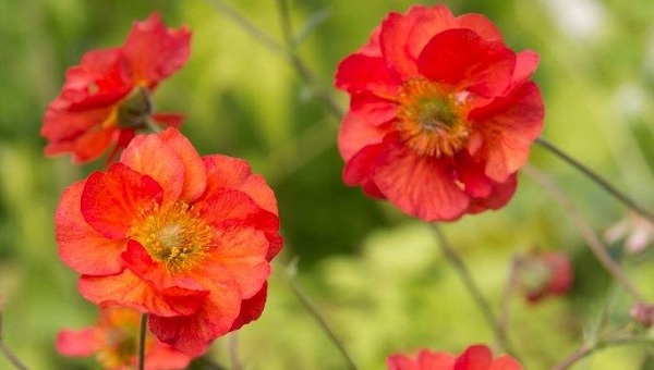 Strela. Банкноты и монеты - путешествие по свету!