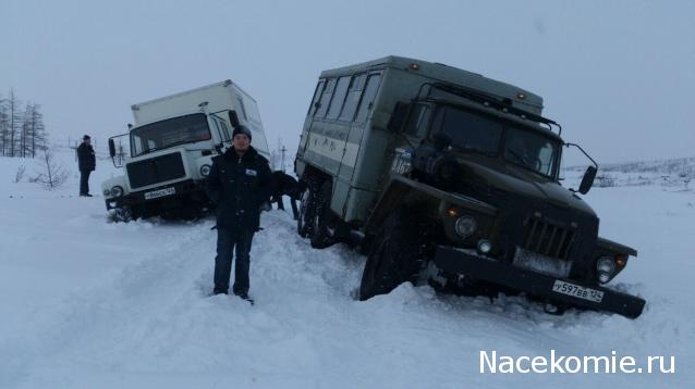 Автолегенды вживую