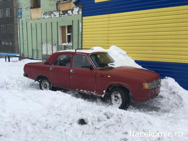 Автолегенды вживую