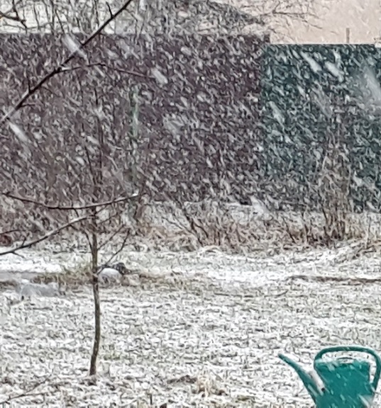 Железная Дорога в Миниатюре - Болталка