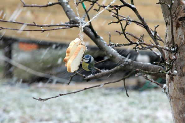 Железная Дорога в Миниатюре - Болталка