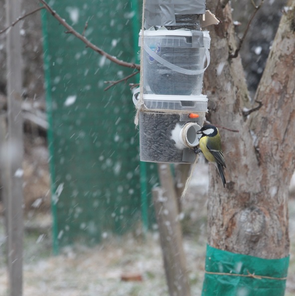 Железная Дорога в Миниатюре - Болталка