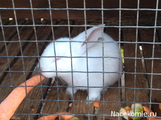 Мой любимый город или дорогие сердцу места