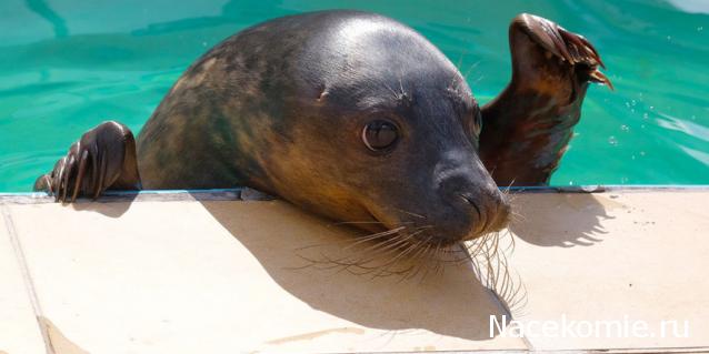 Мой любимый город или дорогие сердцу места