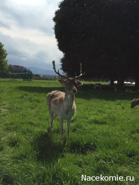 Мой любимый город или дорогие сердцу места
