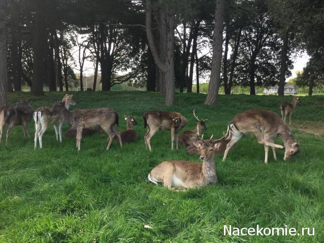 Мой любимый город или дорогие сердцу места
