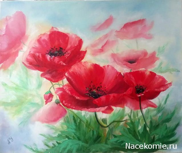 Наши Дни Рождения