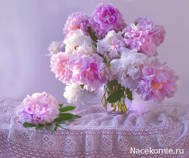 Наши Дни Рождения