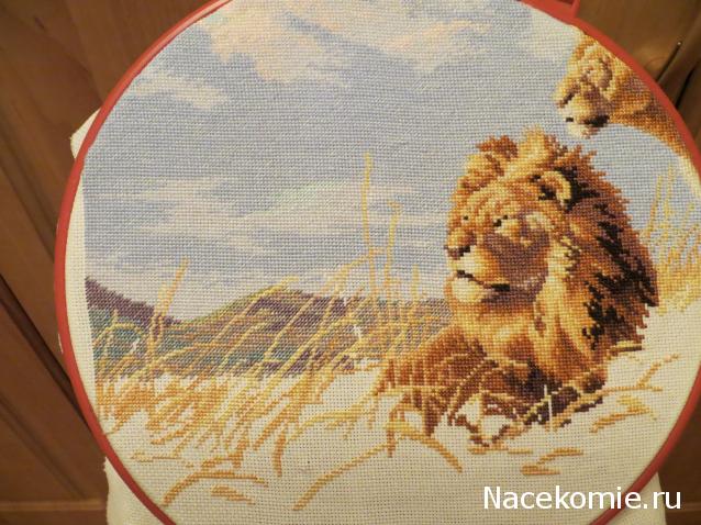 100 крестиков!