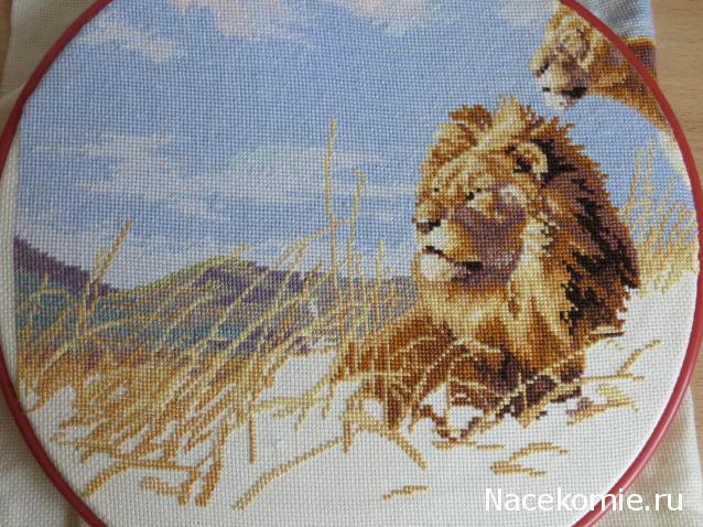 100 крестиков!