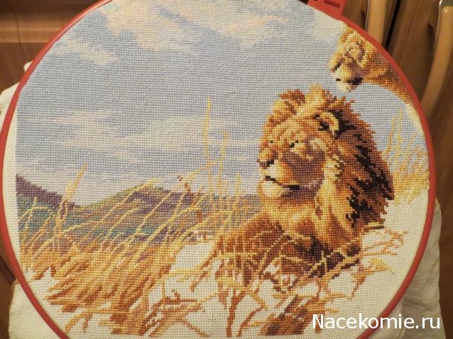 100 крестиков!