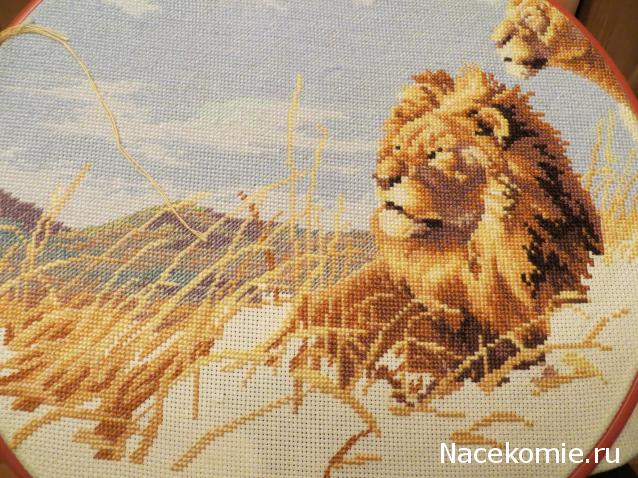 100 крестиков!