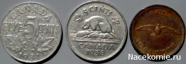 Аверсом к друзьям