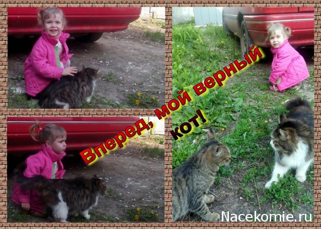 Фото кошек)))))