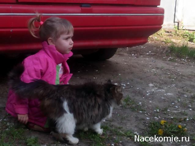 Мой любимый город или дорогие сердцу места