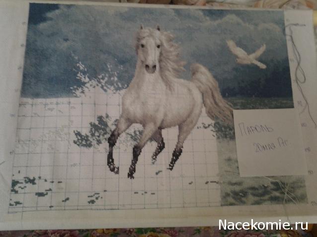 100 крестиков!