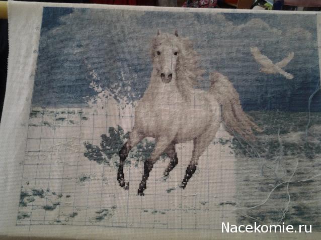 100 крестиков!