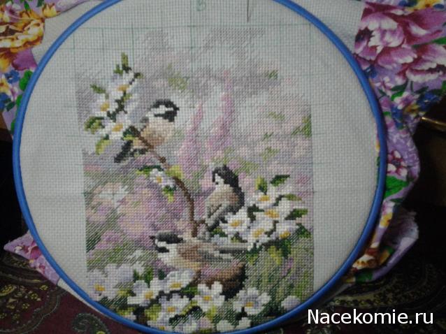 100 крестиков!