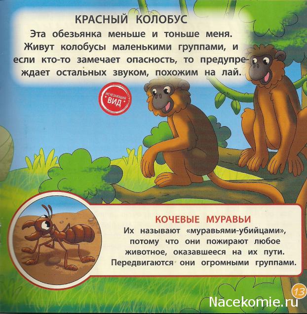 Животные Дикой Природы №15 - Шимпанзе Бима и Сын рейнджера Джонатан
