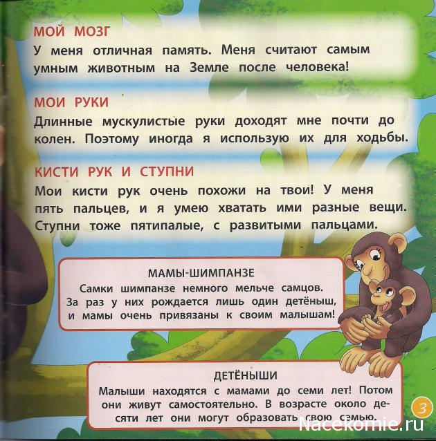 Животные Дикой Природы №15 - Шимпанзе Бима и Сын рейнджера Джонатан