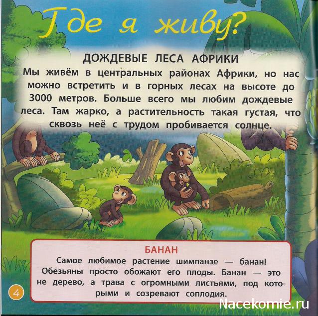 Животные Дикой Природы №15 - Шимпанзе Бима и Сын рейнджера Джонатан