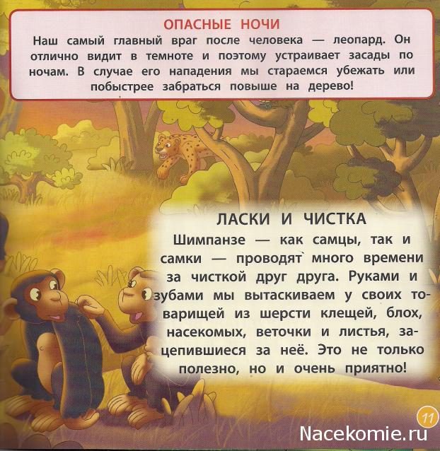 Животные Дикой Природы №15 - Шимпанзе Бима и Сын рейнджера Джонатан