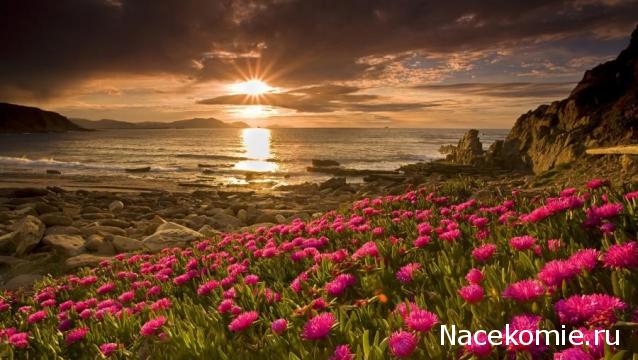 Наши Дни Рождения