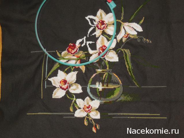 100 крестиков!