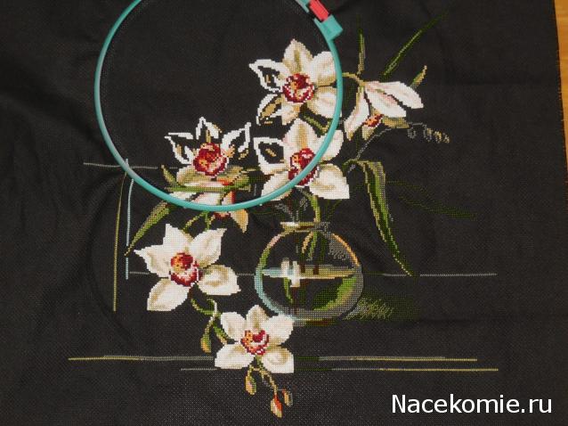 100 крестиков!