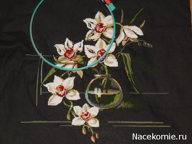 100 крестиков!