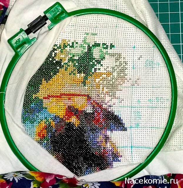 100 крестиков!